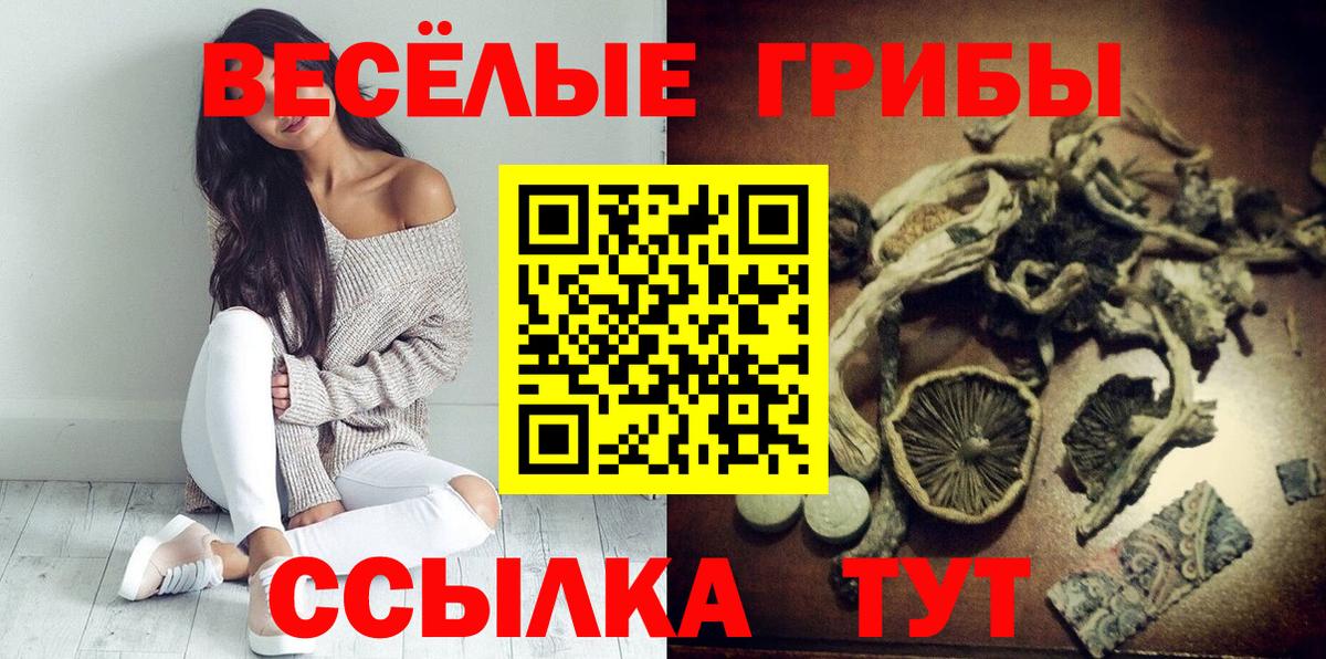 Псилоцибиновые грибы Cubensis  Галлюциногенные грибы прущие грибы  Вход с VPN  Ачинск 